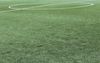 synthetic-grass-1436614_1920.jpg