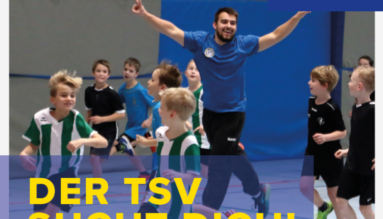 FSJ / BUFDI im TSV Schmiden