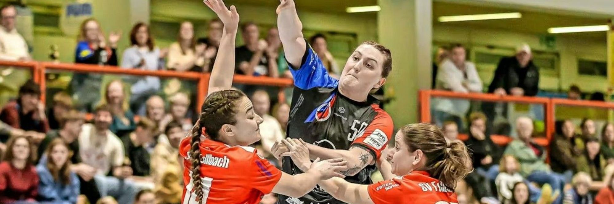 Weiterhin auf Aufstiegskurs