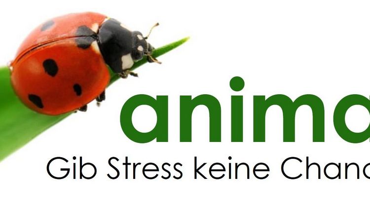 animar: Mental Coaching oder Seelsorgegespräche per Telefon oder Video