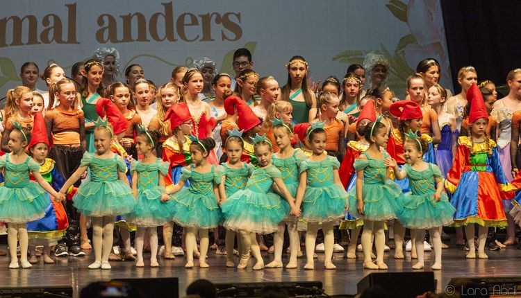 Crowdfunding: Ballett Kostüme