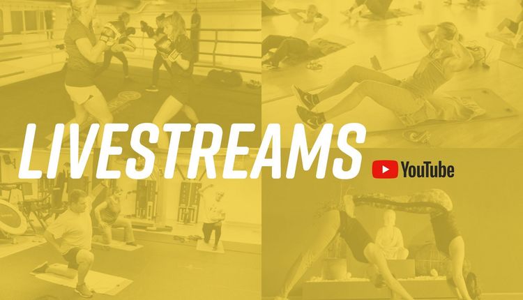 Neuer Livestream Kursplan online